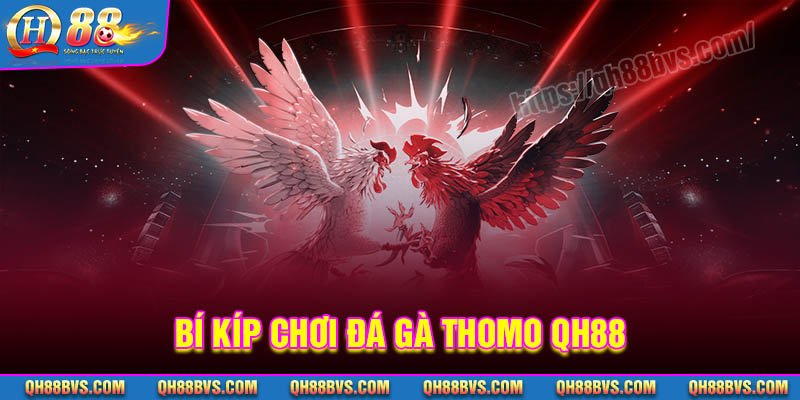 Bí kíp chơi Đá gà Thomo QH88 siêu hay