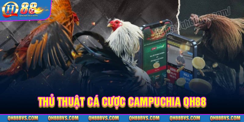 Bí quyết phá đảo trường gà Campuchia QH88 cho tân thủ