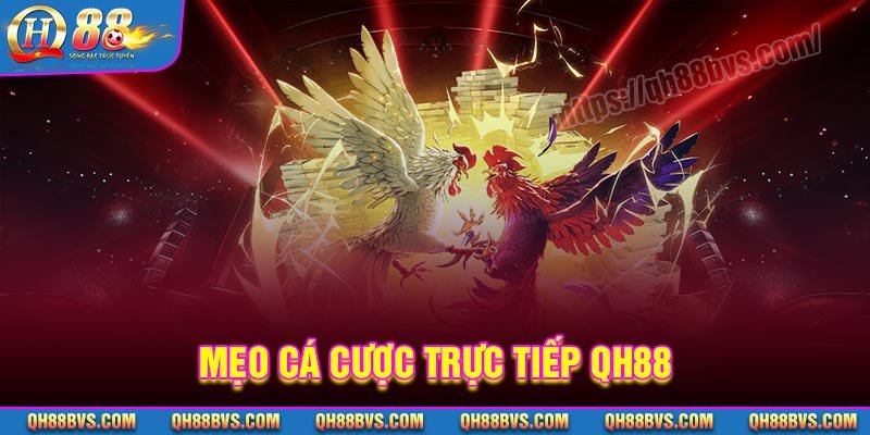 Chiến thuật phá đảo Đá gà trực tiếp QH88 siêu hay