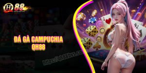 Đá gà Campuchia QH88 - Trường gà trực tiếp hấp dẫn kịch tính