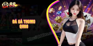 Đá gà Thomo QH88 - Tựa game giải trí siêu đỉnh hiện nay