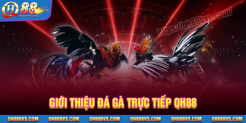 Giới thiệu đôi nét về Đá gà Trực Tiếp QH88