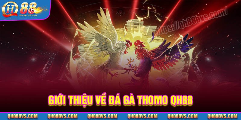 Giới thiệu về Đá gà Thomo QH88