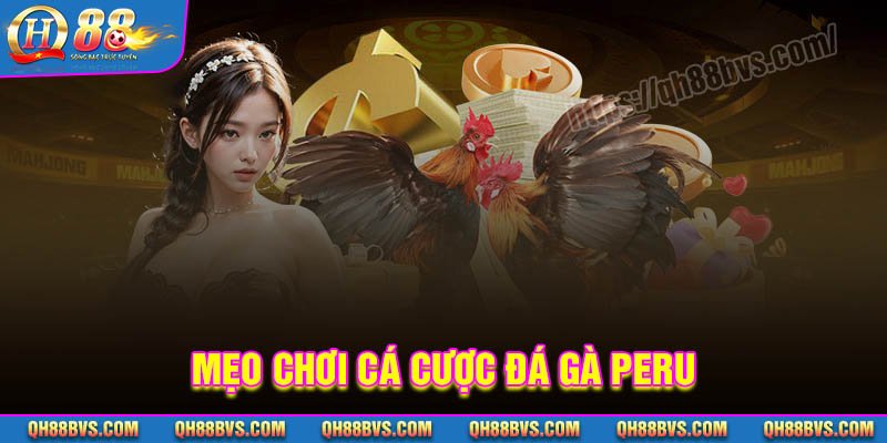 Mẹo chơi cá cược Đá gà Peru QH88 luôn thắng