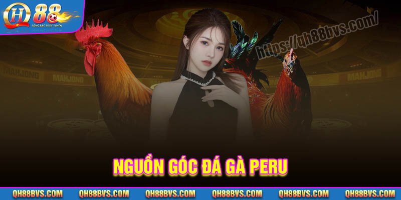 Nguồn góc của Đá gà Peru