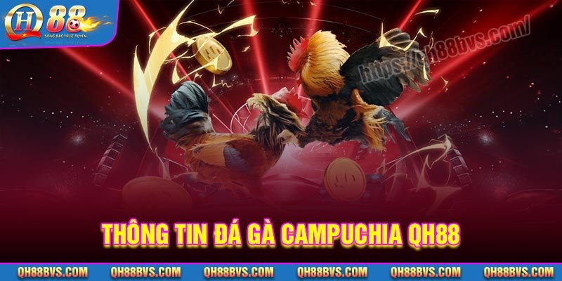 Thông tin về Đá gà Campuchia QH88