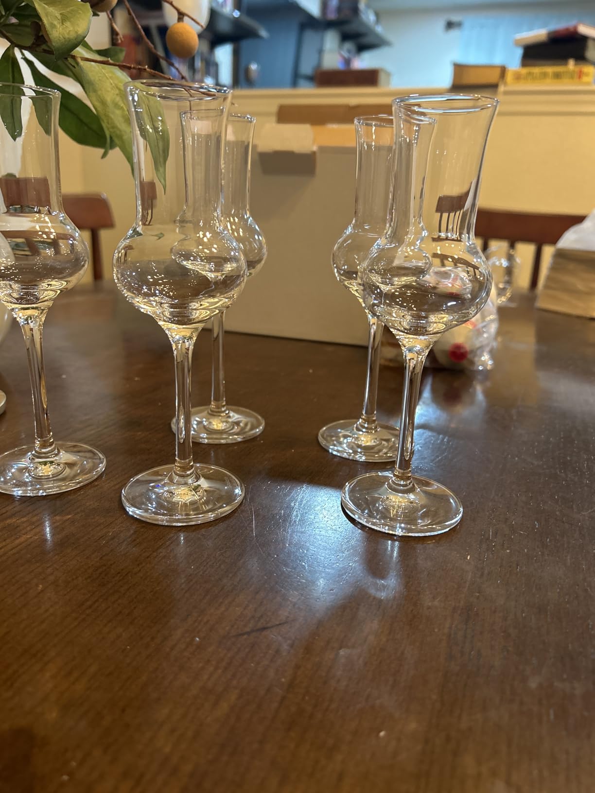Stolzle Lausitz Professional 3 Oz Grappa Glass (Set of 6), Dishwasher-Safe Lead-Free Crystal customer photo 2