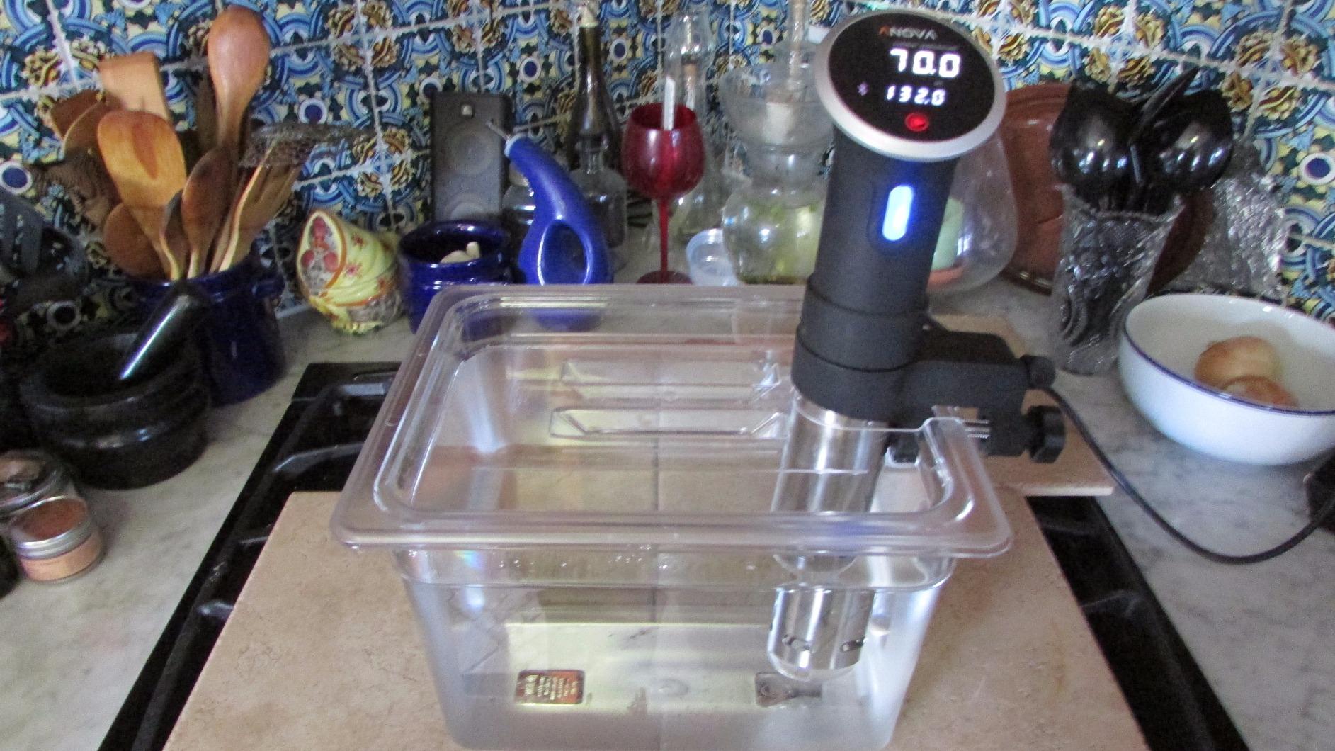 LIPAVI C15 19 Qt Sous Vide Water Bath customer photo 1