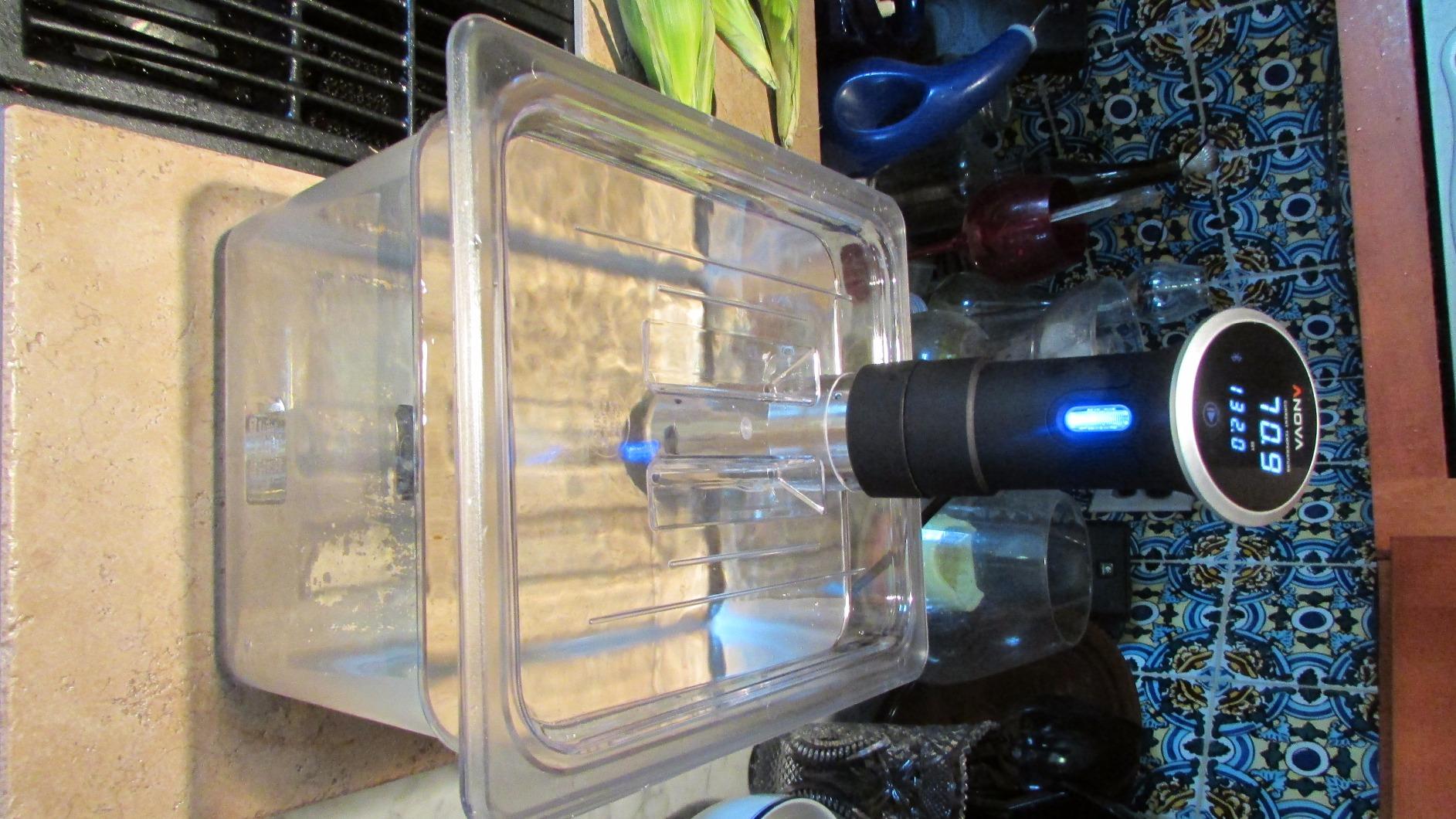 LIPAVI C15 19 Qt Sous Vide Water Bath customer photo 2