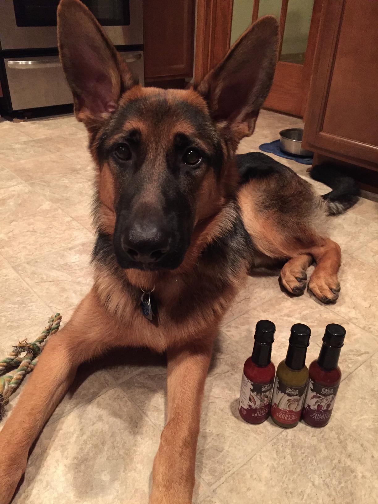 Beer-infused Hot Sauce Variety 3-pack (Includes Asian Sriracha, Garlic Serrano, & Roasty Chipotle) - Craft Beer Gift, Hot Sauce Gift Set, Beer Sauce, BBQ Sauce, Beer Lover, Grill + Man Cave customer photo 1