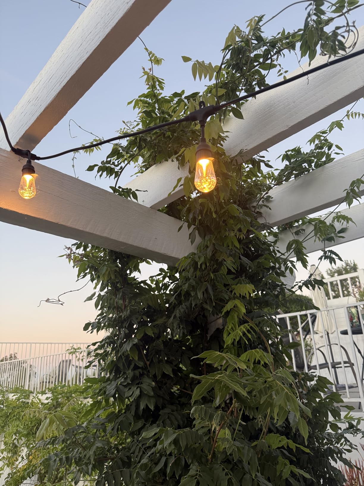Enbrighten LED Outdoor String Lights 48ft Soft Warm White Patio Lights with Ultra-Durable Shatterproof and Waterproof Acrylic Bulbs for Balcony, Backyard, Porch, Gazebo, Deck, Party and Market, 35631 customer photo 1