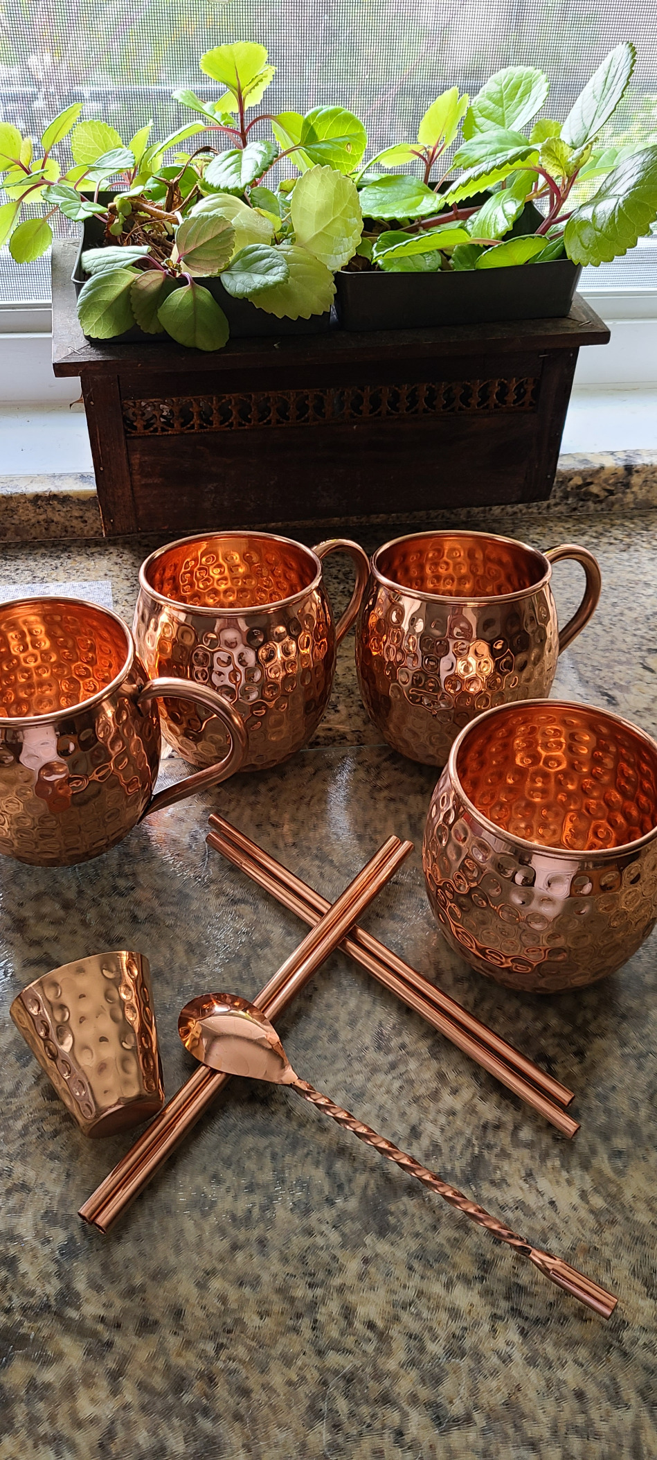 Advanced Mixology Mule Science Moscow Mule Copper Mugs Gift Set of 4 (19 oz) - Handcrafted Hammered Copper Cups, Food-Safe & Tarnish-Resistant - Includes Straws, Coasters & Shot Glass customer photo 2