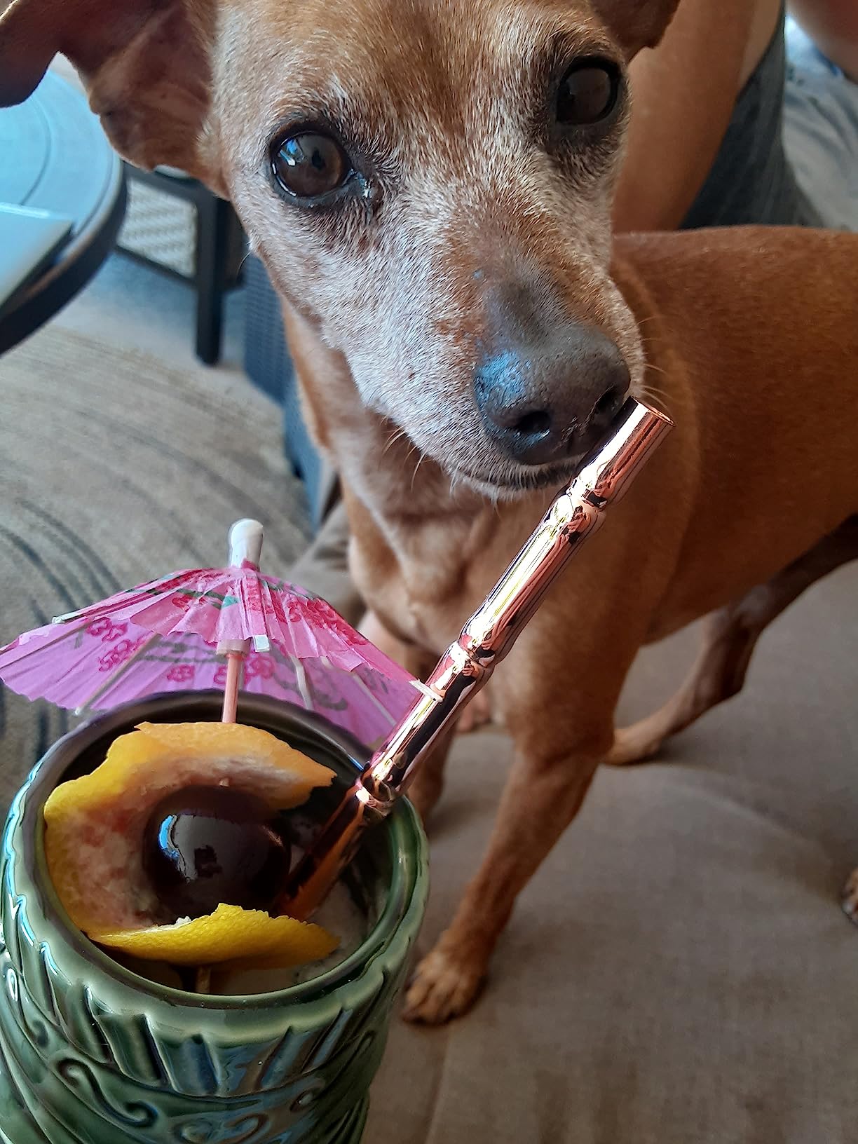 Evan Williams Bourbon Black Cherries customer photo 1