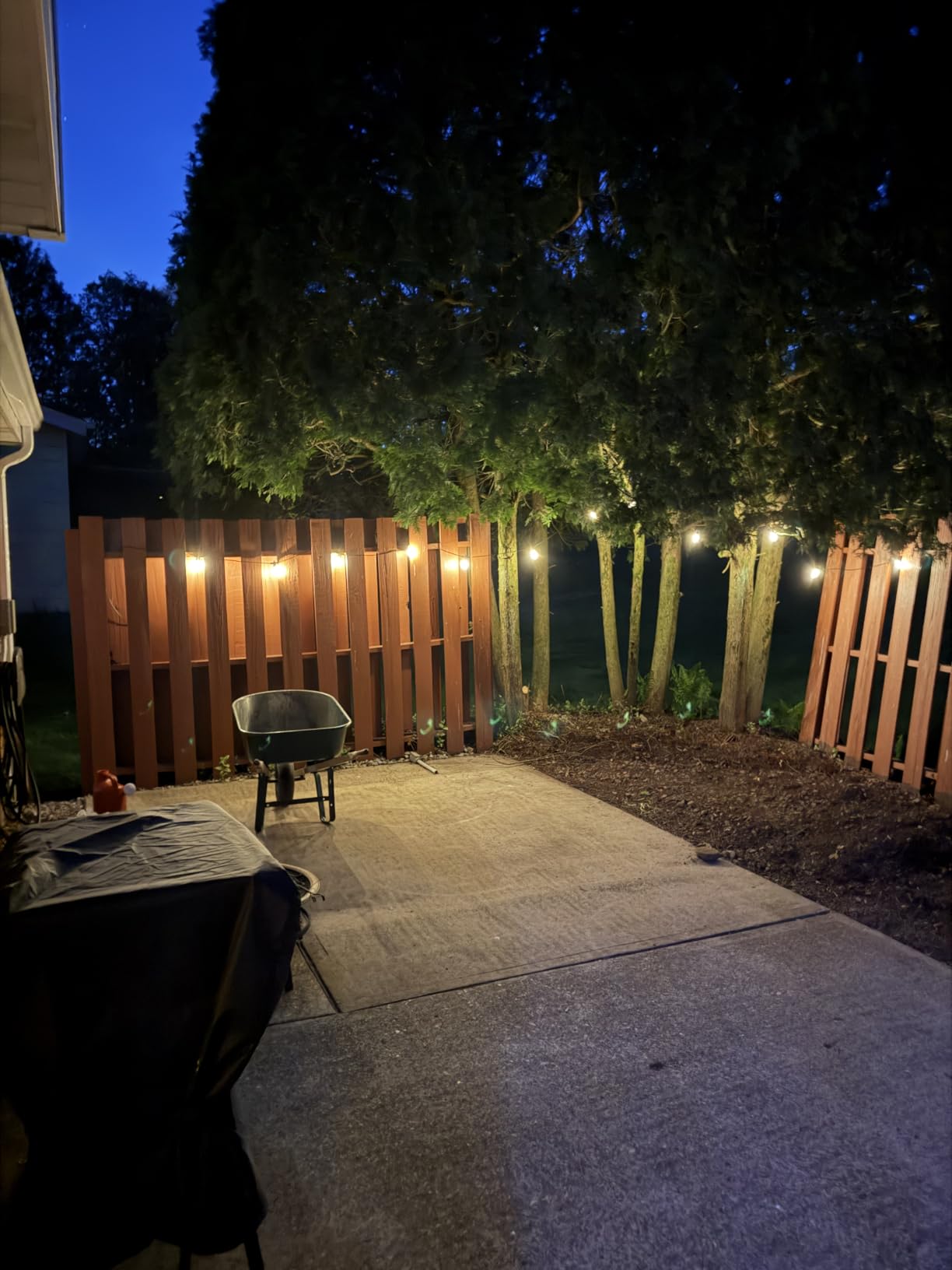 Brightech Ambience Pro Solar Powered Outdoor String Lights - 27 ft Commercial Grade Waterproof Edison Patio Lights, Shatterproof LED String Lights for Outside, Porch - 12 Bulbs, 1W Soft White customer photo 1