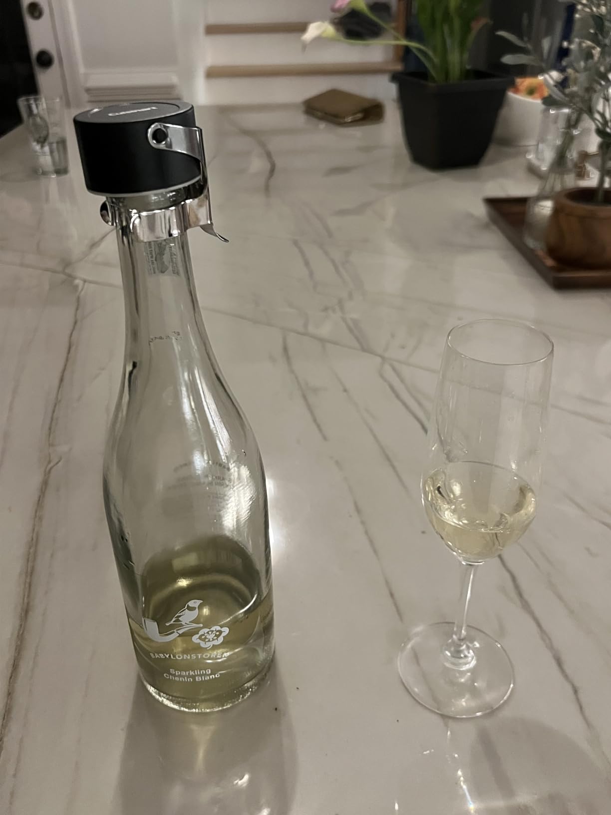 Cuisinart CTG-00-CHS Champagne Stopper, 6.13 Inch, Stainless Steel customer photo 1