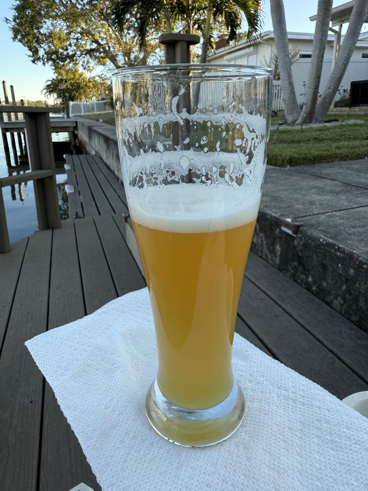 DU VINO USA Made Nucleated Pilsner Glasses- Etched Beer Glass for Better Head Retention, Aroma and Flavor - 16 oz Craft Beer Glasses for Beer Drinking Bliss - 4 Pack customer photo 1