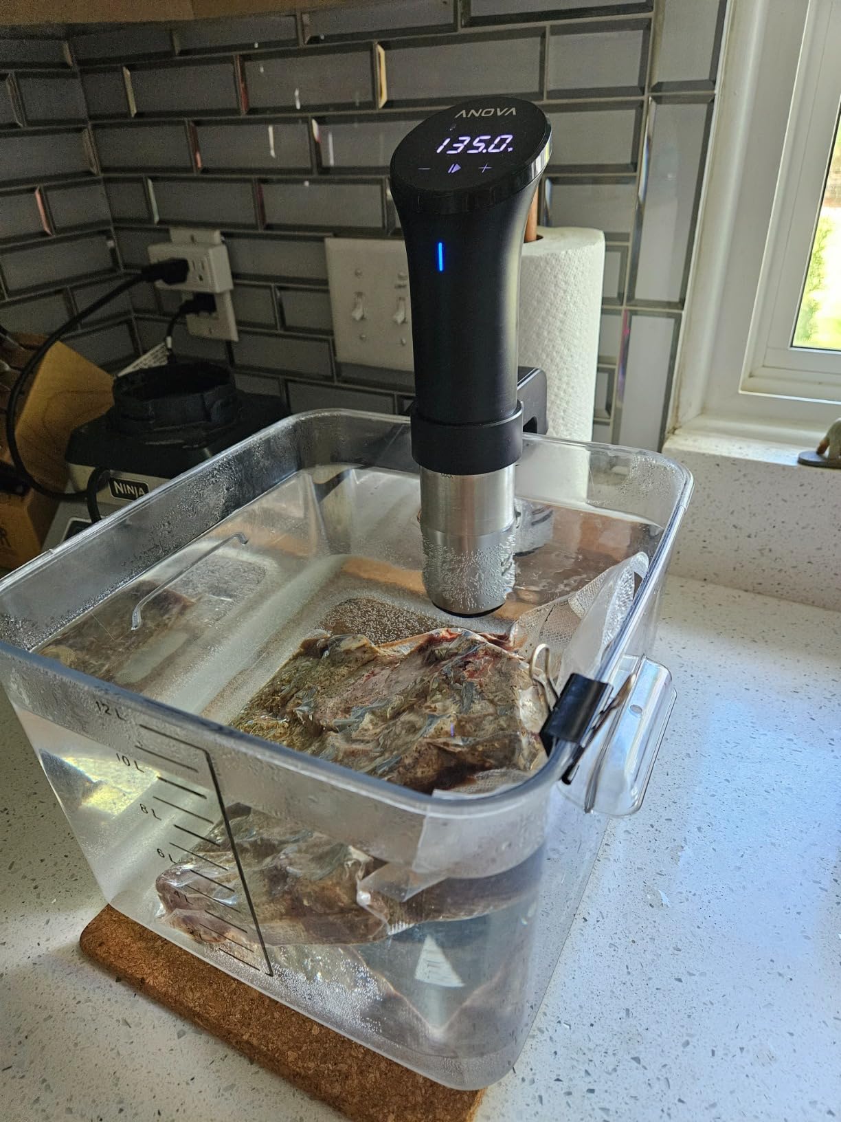 Anova Culinary Sous Vide Precision Cooker 2.0 (WiFi), 1000 Watts customer photo 2