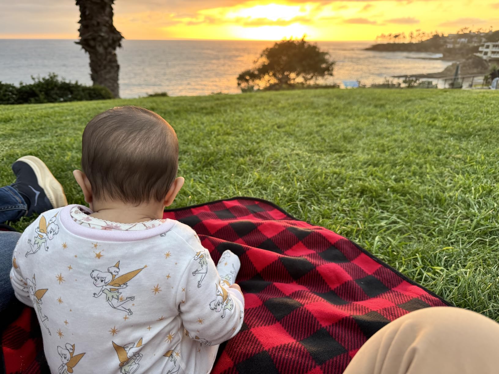 Tirrinia Waterproof Outdoor Blanket with Sherpa Lining, Windproof Triple Layers Warm Comfy Foldable for Camping Stadium, Beach, Picnic, Grass, Concerts, Car, Dog, 51''X 59'' & 59''X 80'' customer photo 1