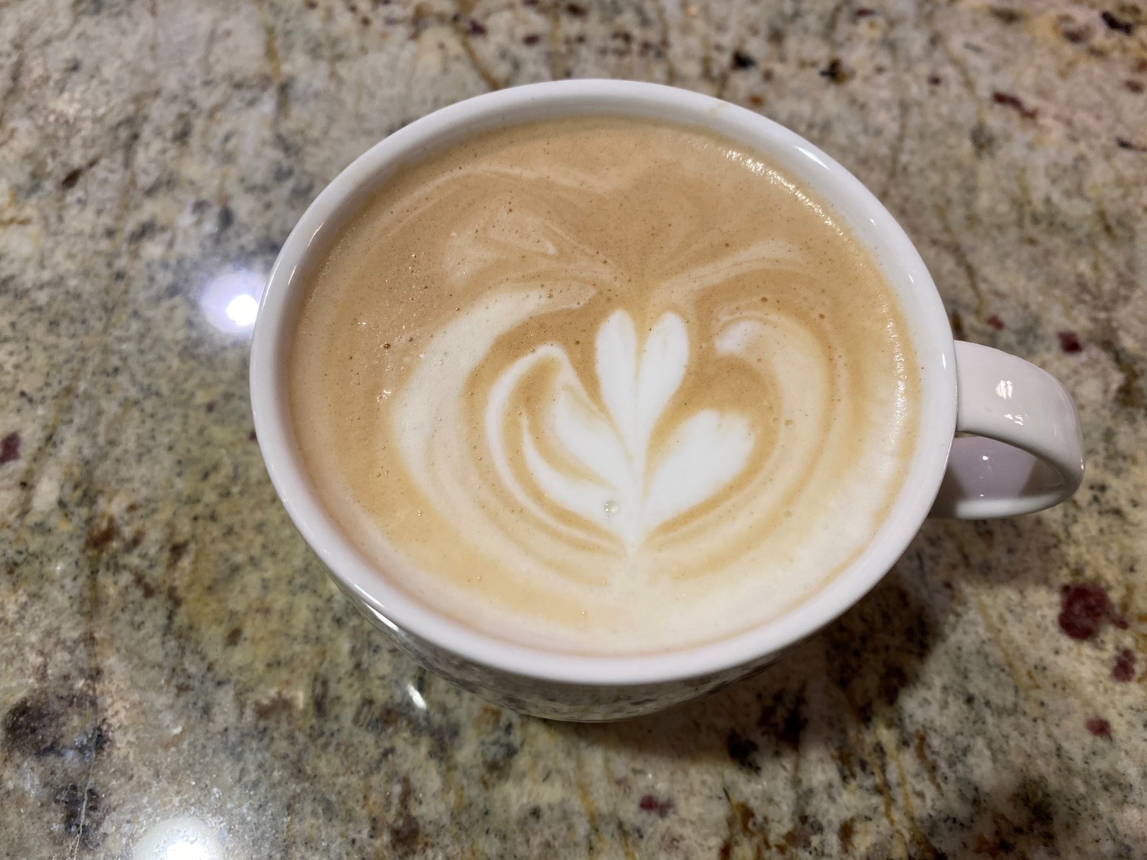 Breville Barista Pro Espresso Machine BES878BSS, Brushed Stainless Steel customer photo 1