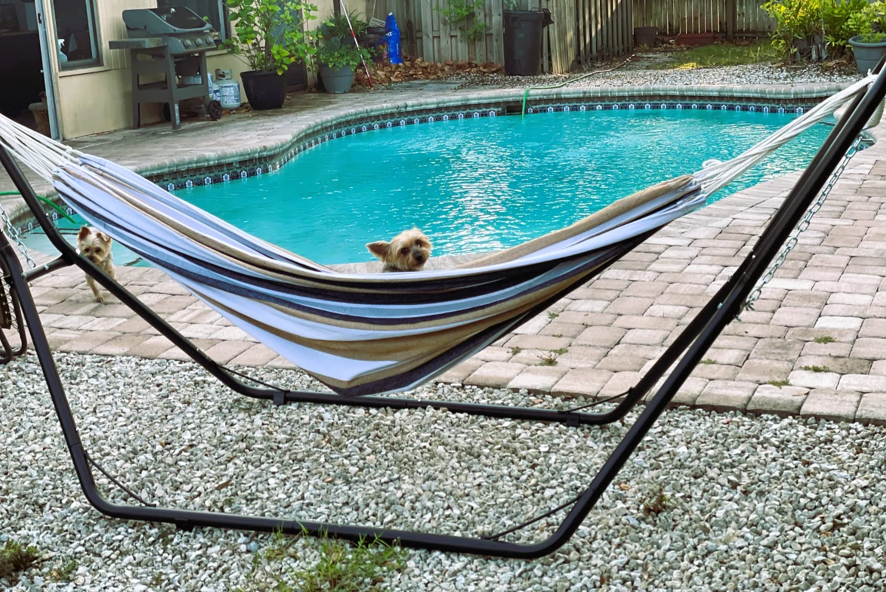 Zupapa 2 Person Steel Hammock Stand 550 lb Capacity, Portable Hammock Frame Stand Heavy Duty for 9 to 14Feet Hammocks, Carry Bag Included, Black customer photo 1