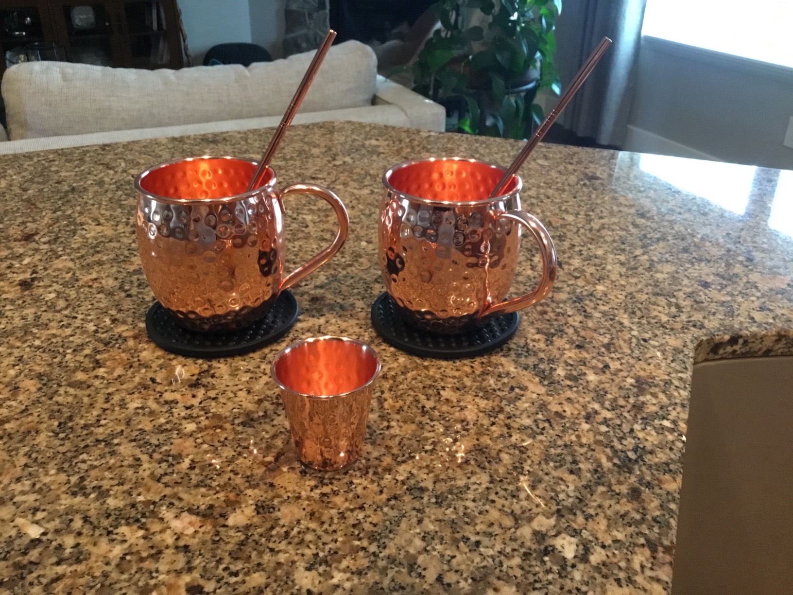 Moscow Mule Mugs, 4pcs Set of 16oz Copper Cups, Handcrafted Traditional Design, Gift Set with Straws, Spoon, Cleaning Brush & Shot Glass customer photo 1