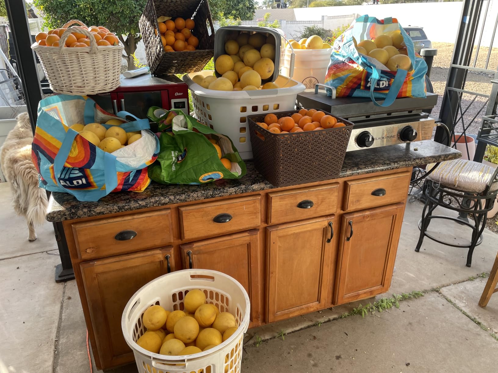 LEBENLANG Orange Juicer Electric - 2 cones & BPA-free I High juice yield & Large Volume I 24oz Lemon Juicer Squeezer I Electric Citrus Juicer Orange Juice Press Juicers Exprimidor De Naranjas Limones customer photo 1