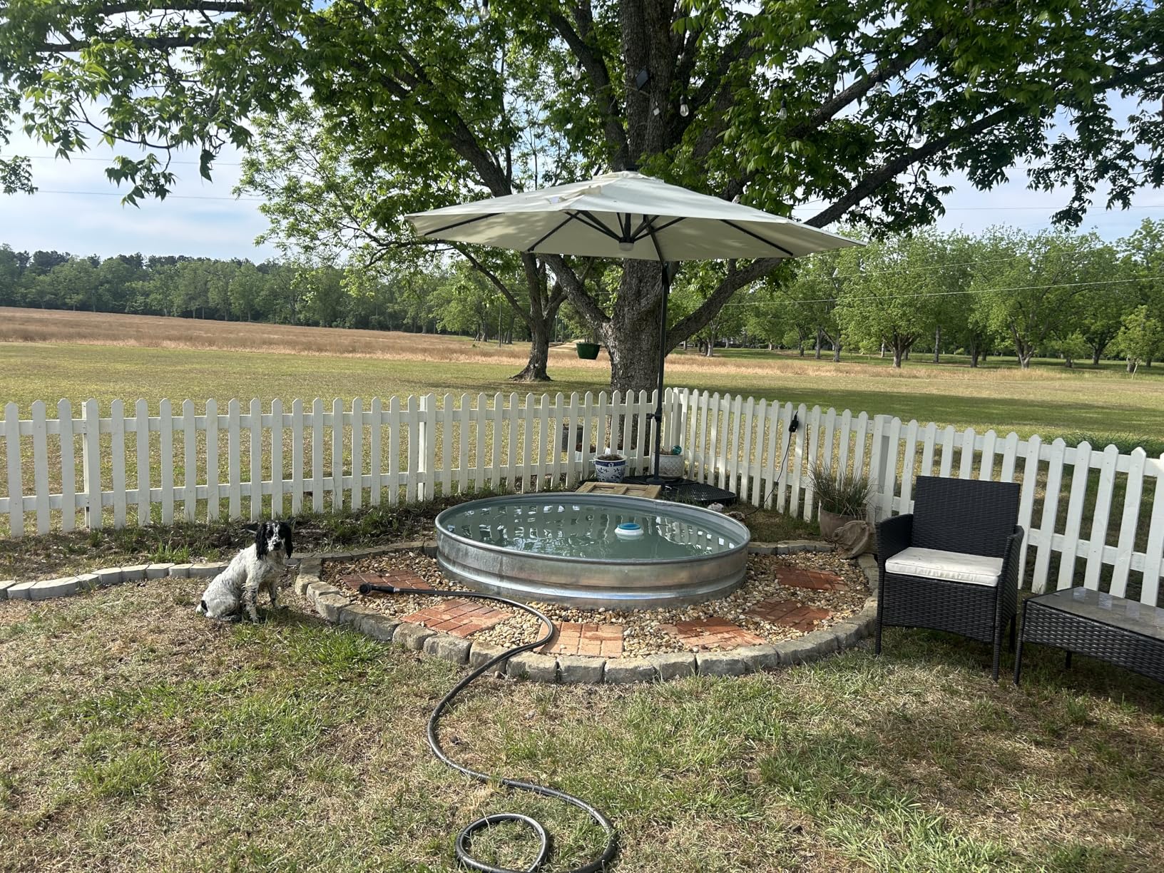Best Choice Products 10ft Solar LED Cantilever Patio Umbrella, 360-Degree Rotation Hanging Offset Market Outdoor Sun Shade for Backyard, Deck, Poolside w/Lights, Easy Tilt, Cross Base - Tan customer photo 1