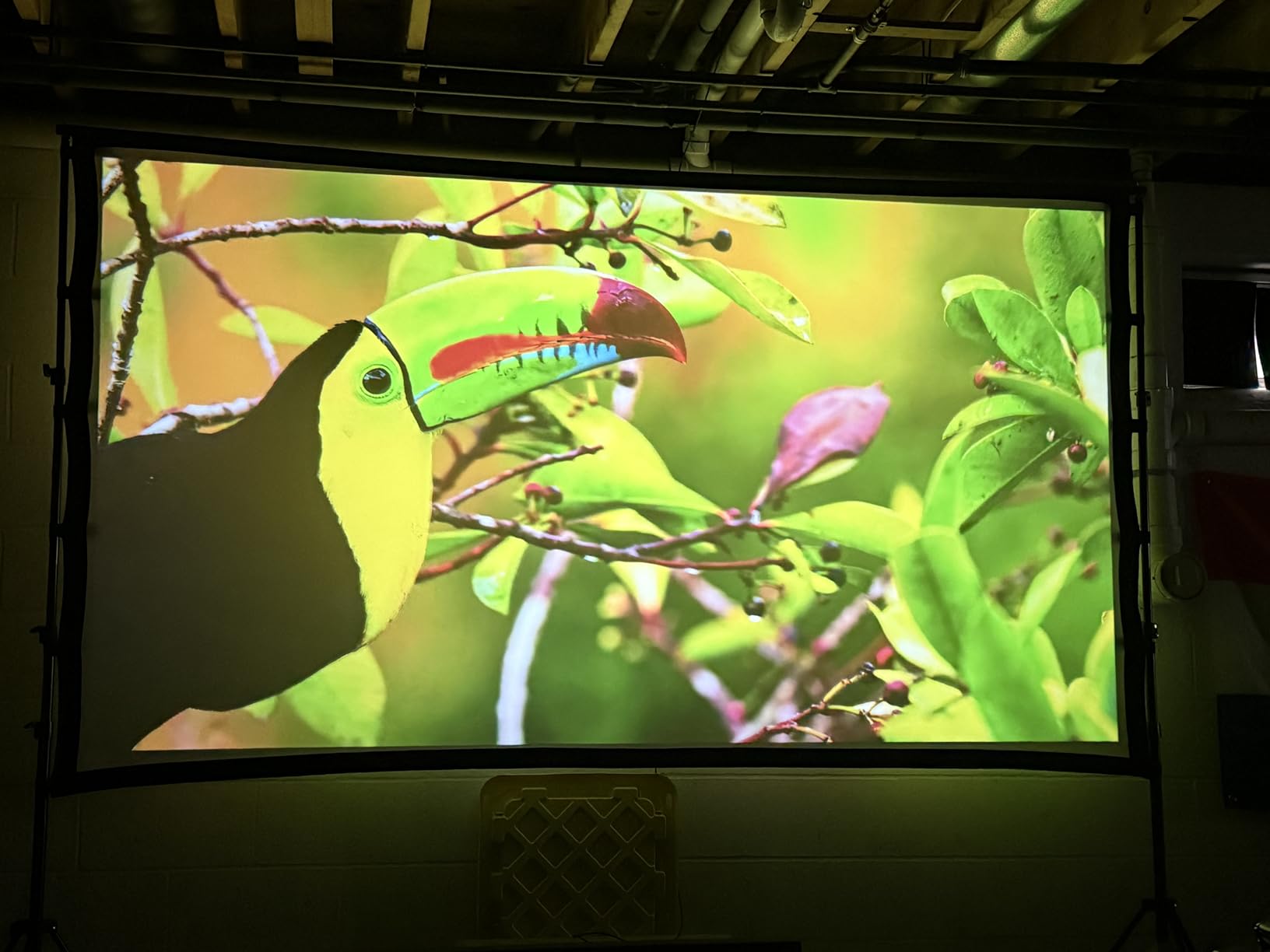 TOWOND Projector Screen and Stand, 150 inch Indoor Outdoor Projection Screen, Portable 16:9 4K HD Rear Front Movie Screen with Carry Bag Wrinkle-Free Design for Home Theater Backyard Cinema customer photo 2