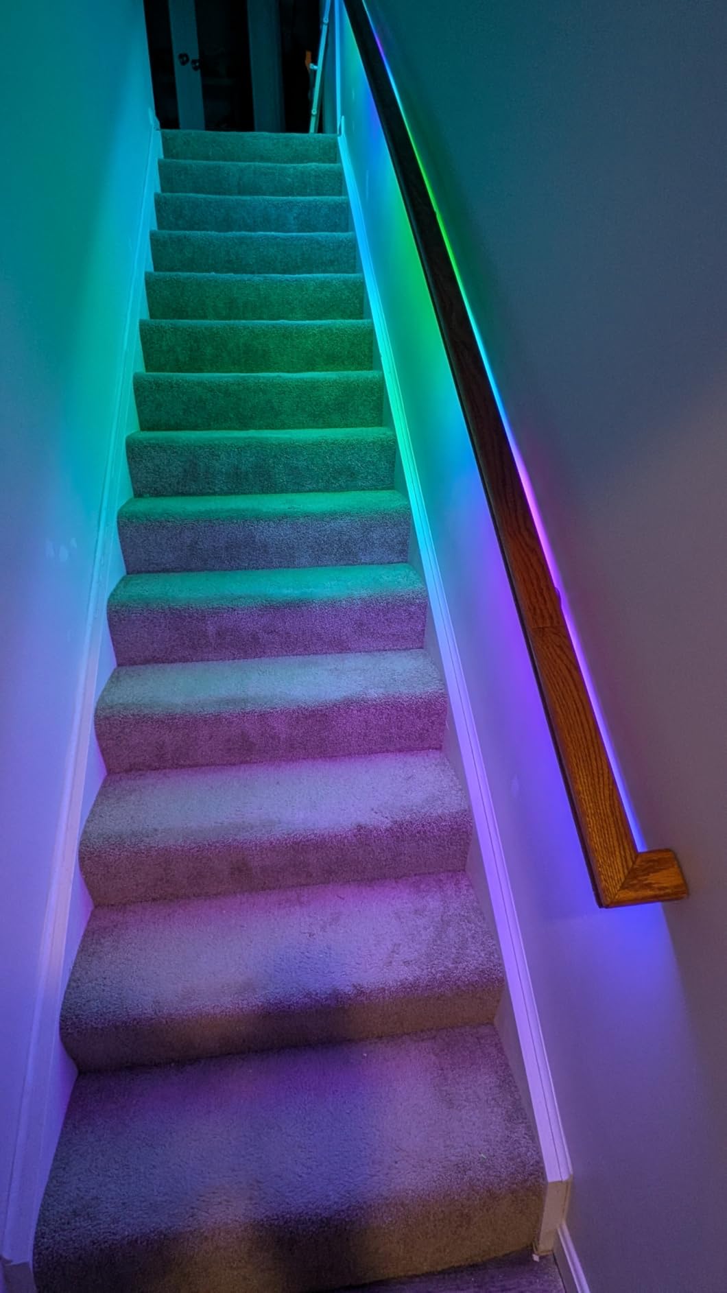 Kasa Smart LED Light Strip, 50 Color Zones RGBIC, 16.4ft Wi-Fi LED Strip Works w/ Alexa, Google Home & SmartThings, High Brightness, 16M Colors, PU Coating, Trimmable, 2 Yr Warranty (KL420L5) customer photo 2