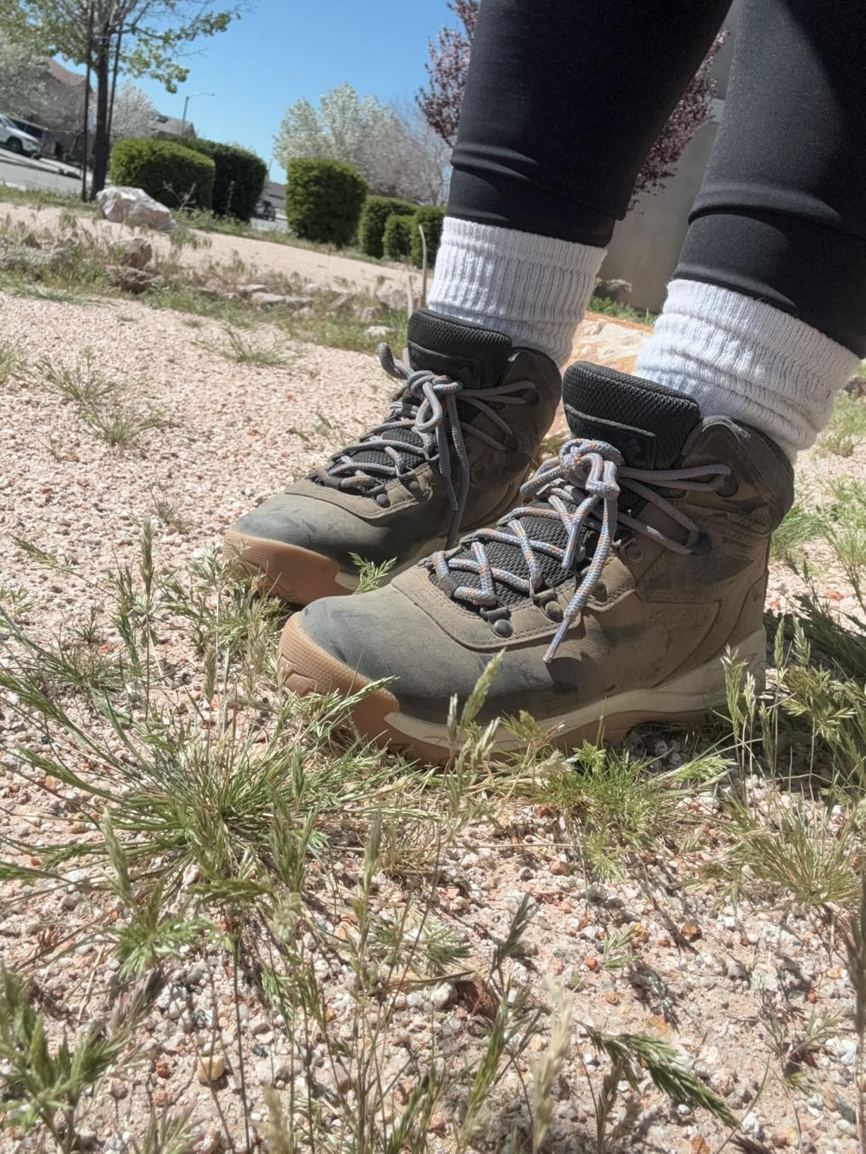 Columbia Women's Newton Ridge Plus Waterproof Hiking Boot customer photo 1