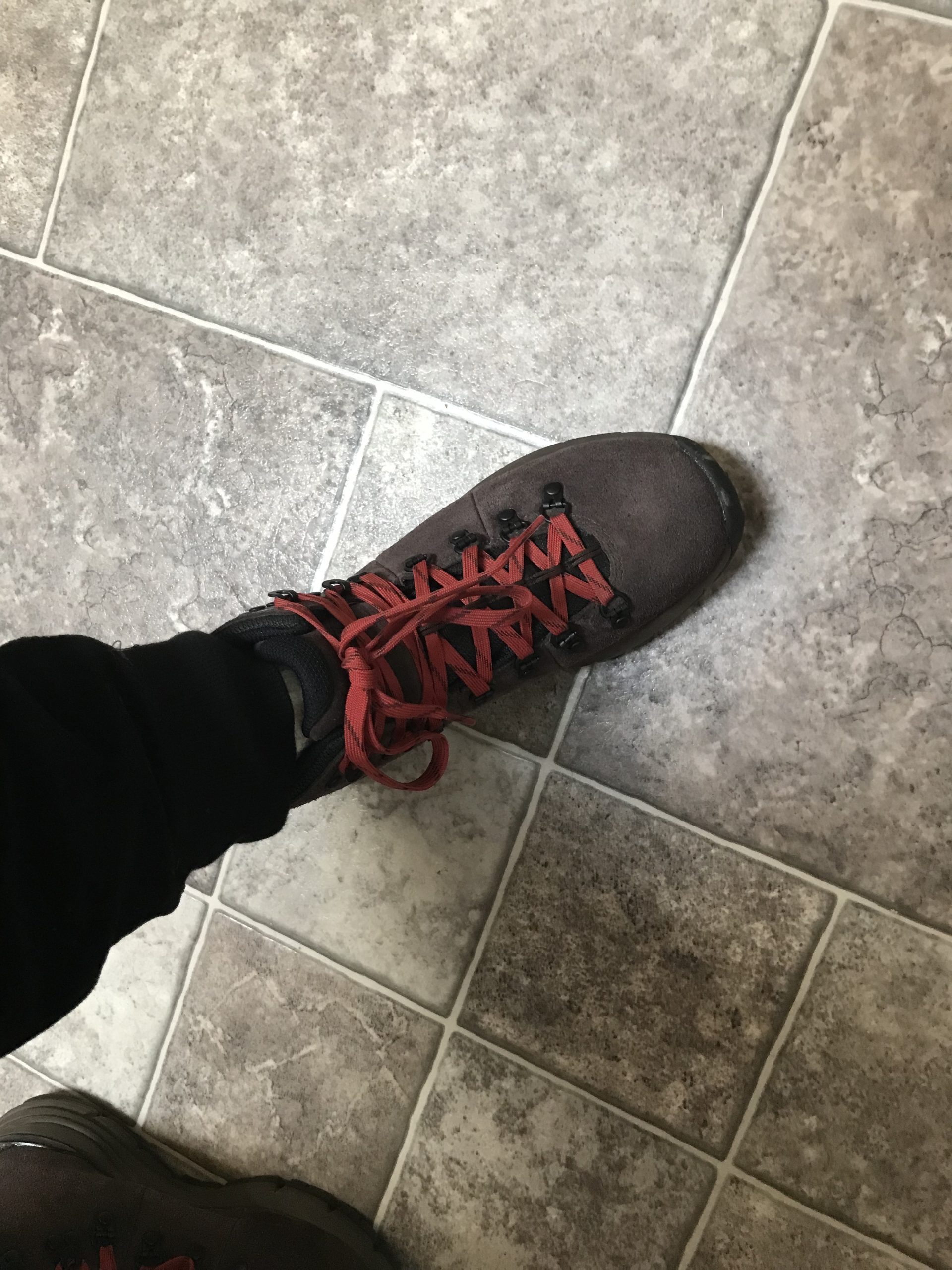 Danner Women's Mountain 600 Waterproof Hiking Boot customer photo 2
