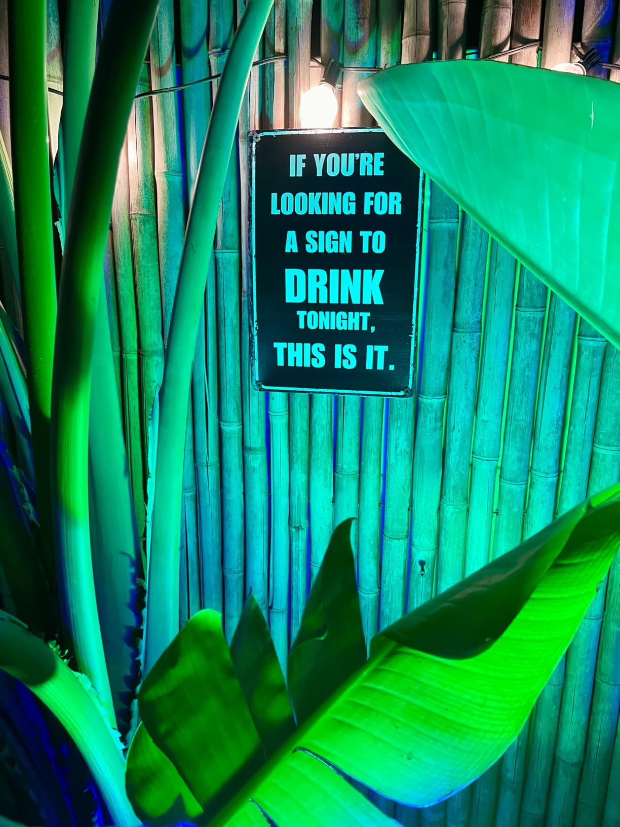 Vintage Metal Sign Funny Bar Signs Home Bar Accessories Man Cave Signs For Men Decor 12x8 Inches customer photo 1