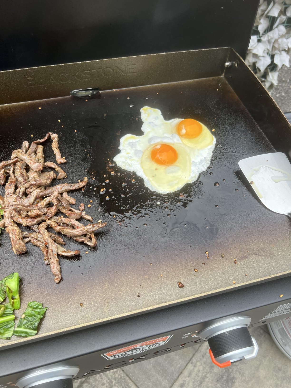 Blackstone 2350 On-the-Go 22 Omnivore Flex-Fold Griddle with Locking Hood, Powder Coated Steel, Black customer photo 1