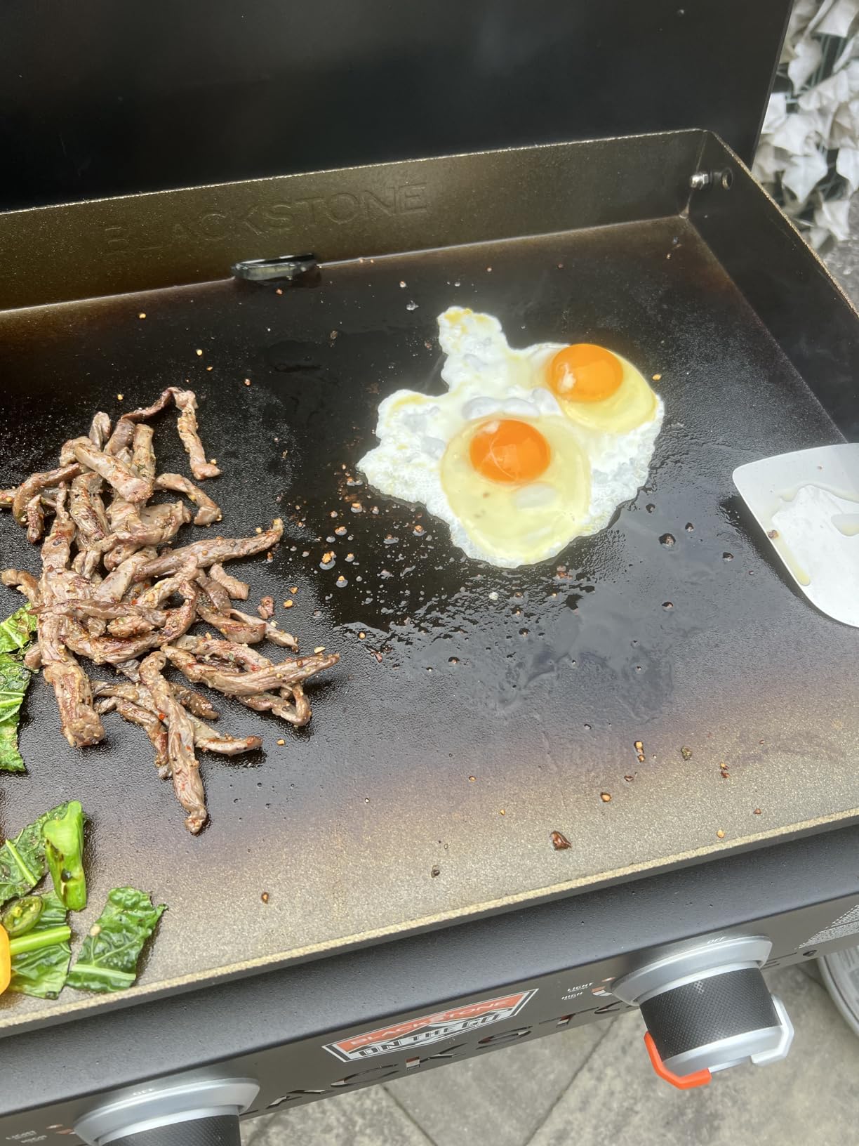 Blackstone 2350 On-the-Go 22 Omnivore Flex-Fold Griddle with Locking Hood, Powder Coated Steel, Black customer photo 2