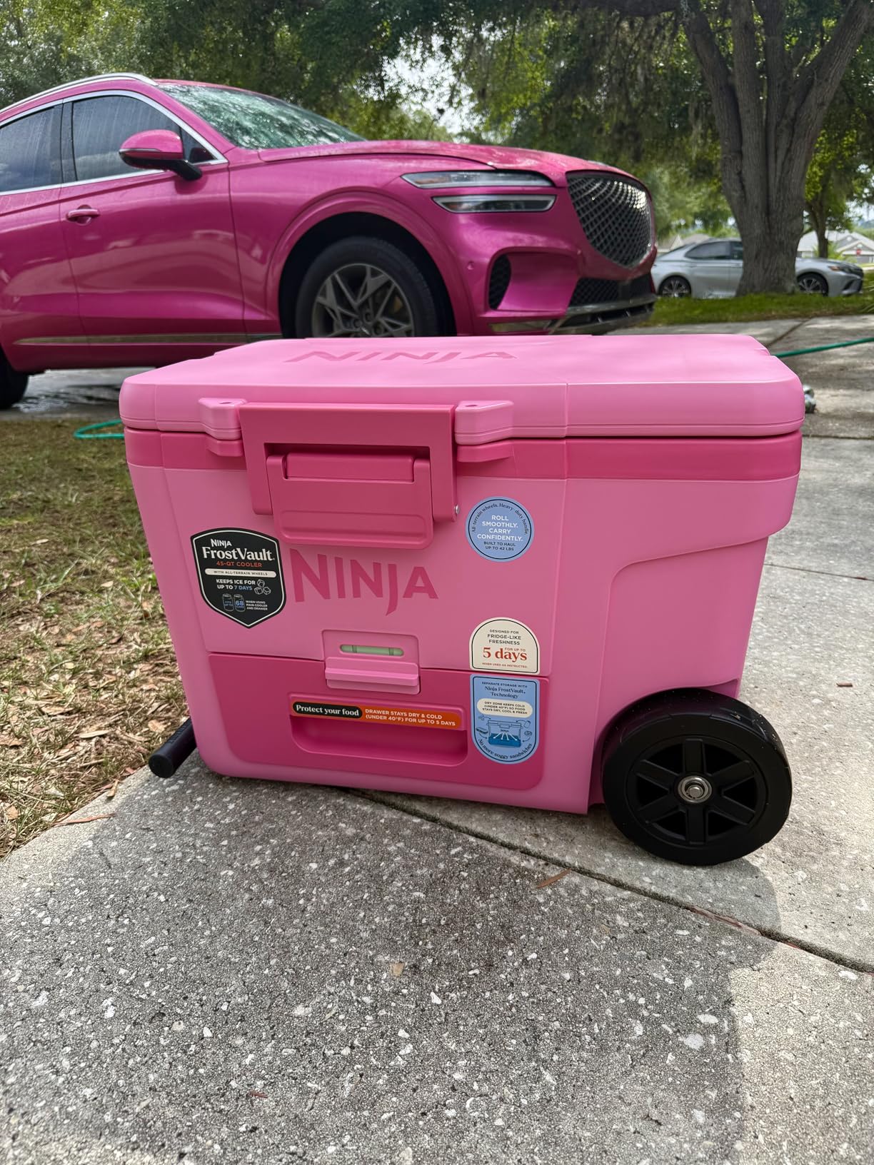 Ninja FrostVault 45QT Cooler with Wheels | Insulated with Temp Dry Storage Drawer | Keeps Ice Cold for Days | Lakeshore Blue customer photo 1