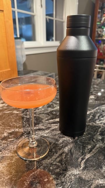 BARE BARREL Insulated Cocktail Shaker Set | Double Wall Stainless Steel | Martini Shaker for Home Bar Bartending | Built-in Drink Measure System & Strainer, Travel Bag, Recipes | Gift Set (Gunmetal) customer photo 1