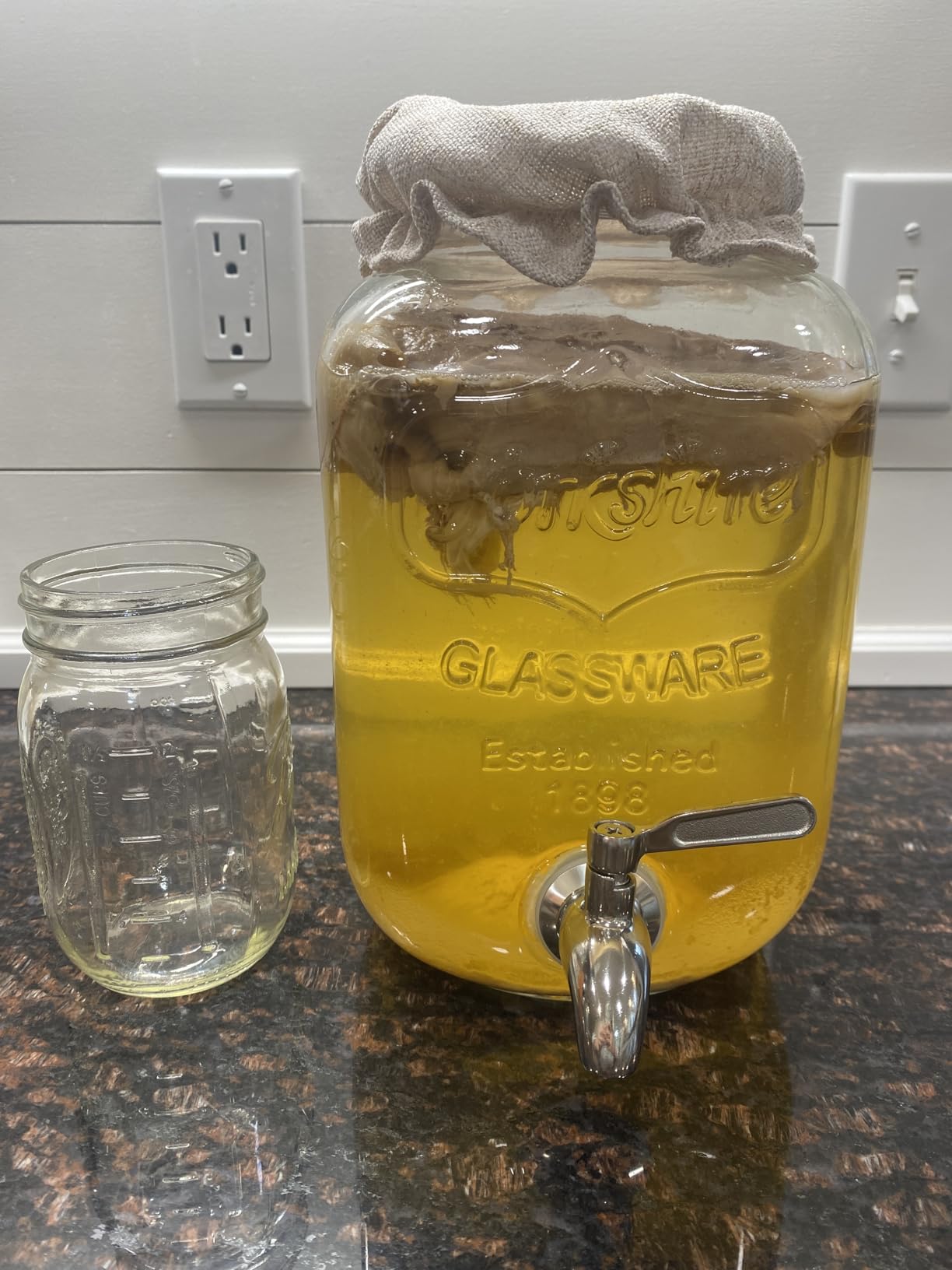1 Gallon Kombucha Jar Starter Kit with Spigot, Continuous Kombucha Brewing Jar Kit, Glass Kombucha Starter Kit with Stainless Steel Mesh Filter (1GKJ) customer photo 1