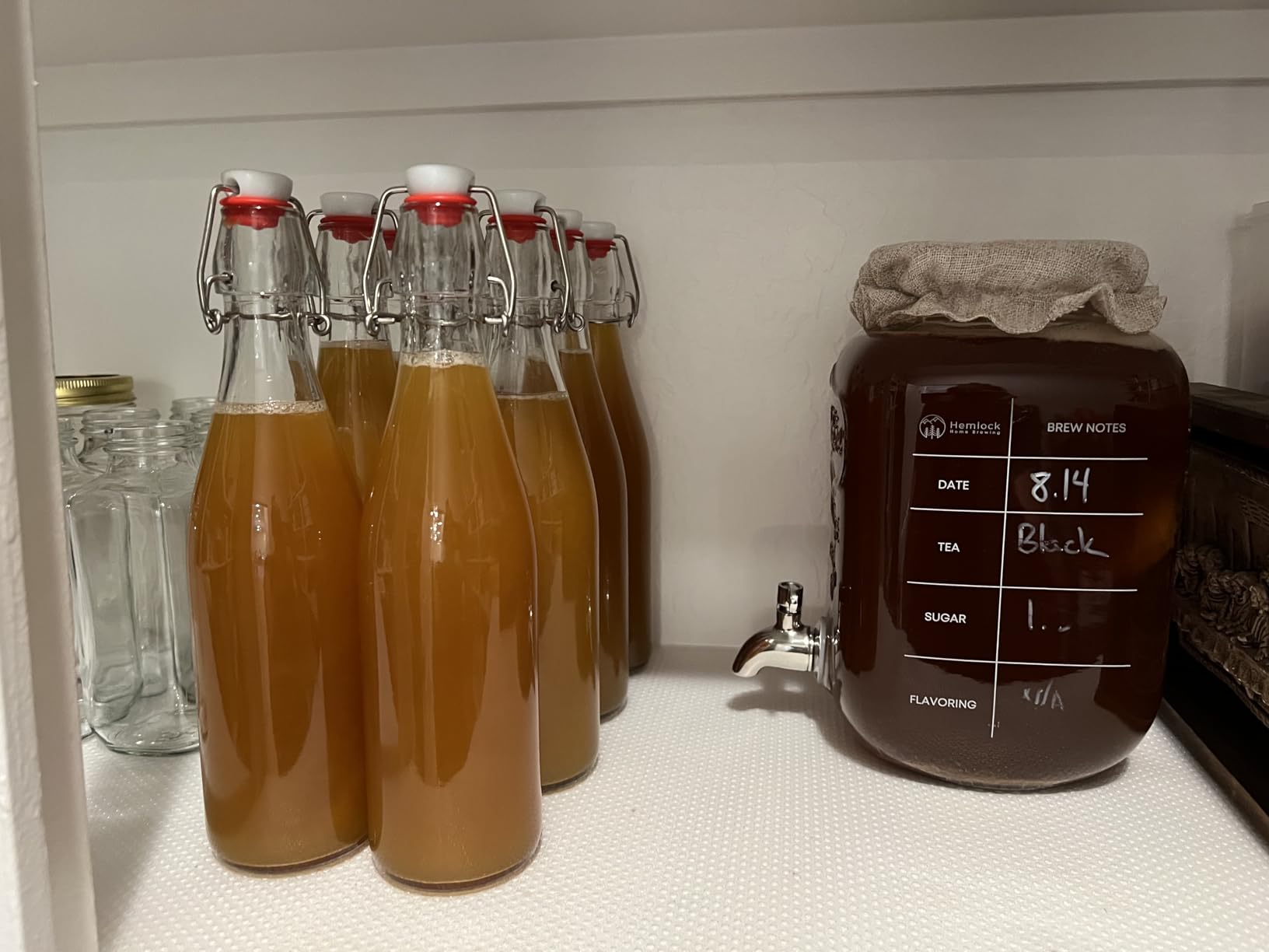 1 Gallon Kombucha Jar Starter Kit with Spigot, Continuous Kombucha Brewing Jar Kit, Glass Kombucha Starter Kit with Stainless Steel Mesh Filter (1GKJ) customer photo 2