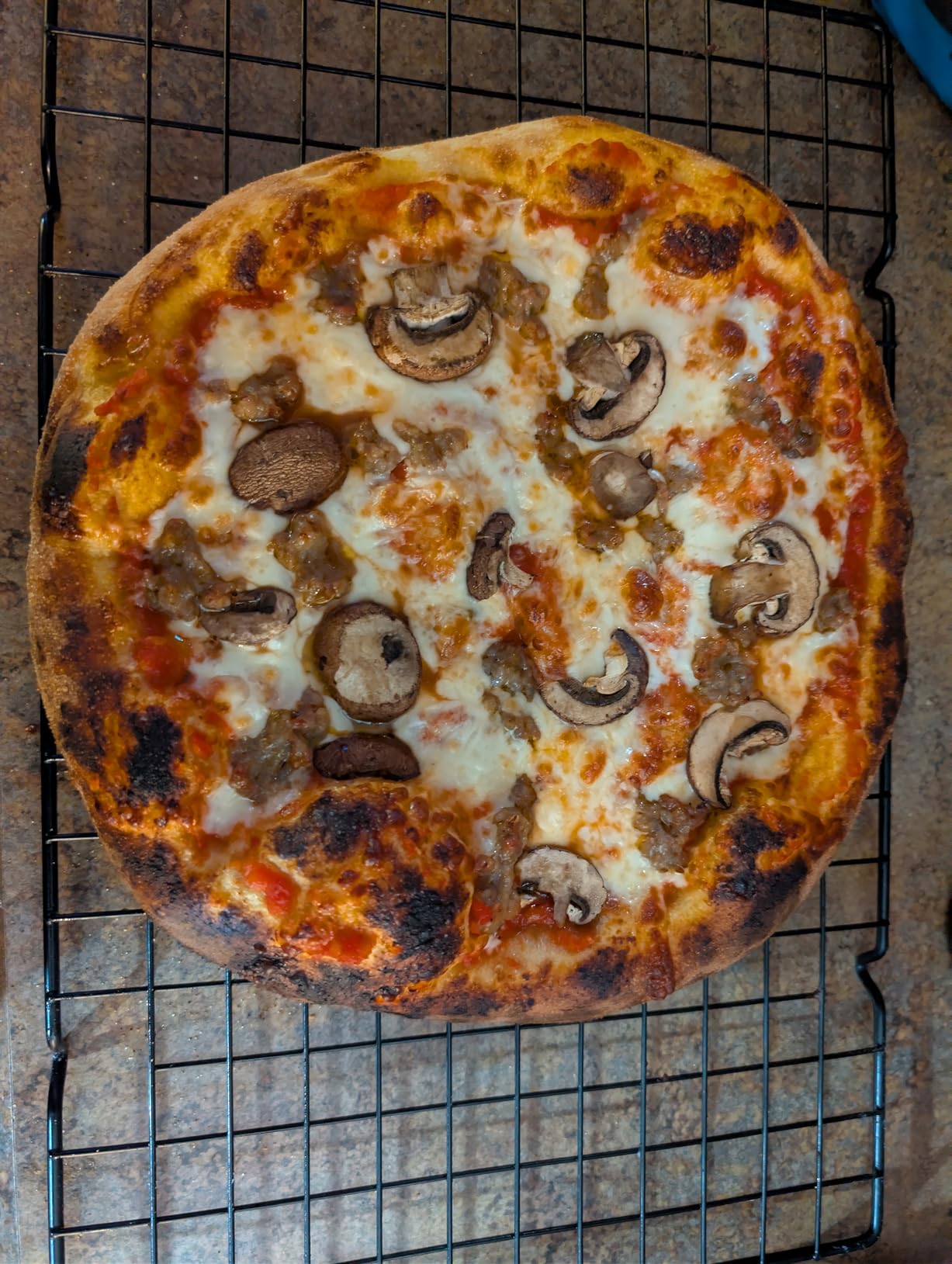 BIG HORN 14-Inch Indoor Pizza Oven, 850F High-Heat Electric Countertop Pizza Oven for Restaurant-Style Artisan Pizza with Pizza Stone and Pizza Peel, PID Precision Temperature Control customer photo 2