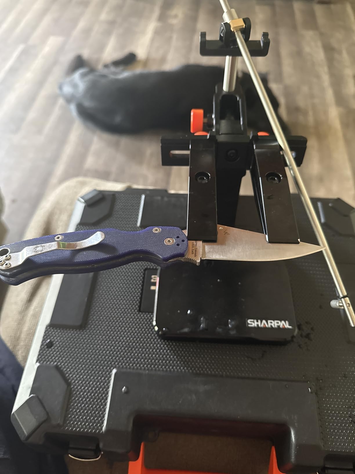 SHARPAL 202H Precision Knife Sharpening System - Adjustable Angle 10-35 Degree Knife Sharpener Kit with 7 Abrasives (Diamond 220/325/600/1000, Whetstone 3000/6000, Leather Strop), Premium Fathers Day Gift customer photo 1