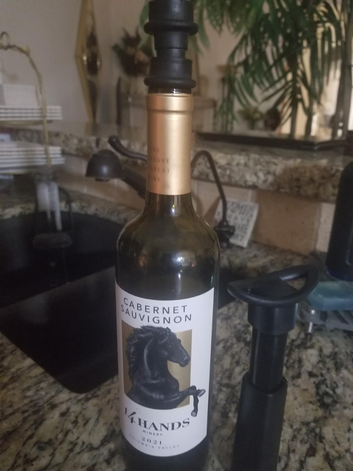 Wine Vacuum Pump & 2 Stoppers Set, Reusable Wine Saver Preserver for Airtight Seal - Keeps Wine Fresh Longer (1 Pump + 2 Stoppers) customer photo 1