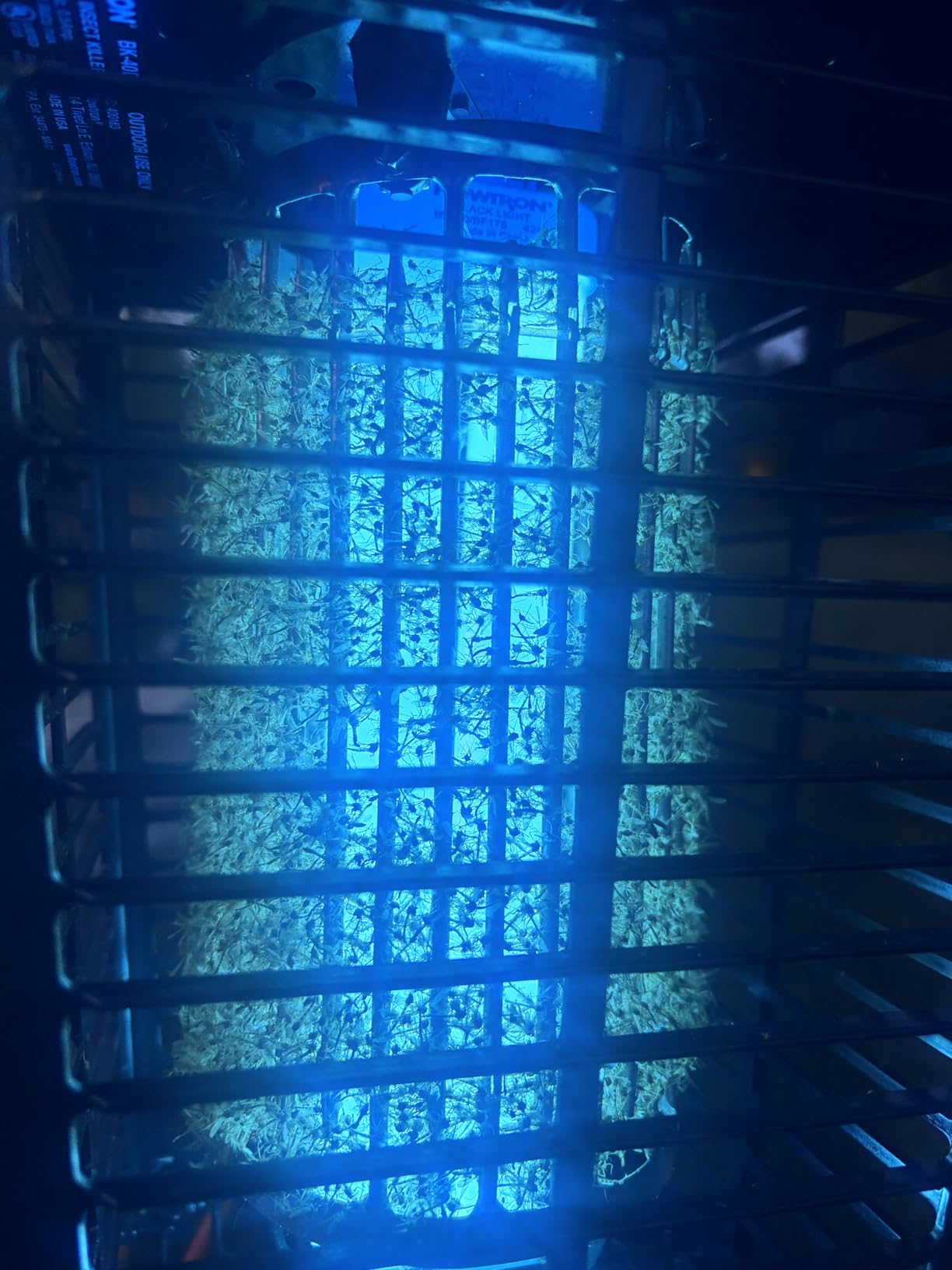 Flowtron Bug Zapper, 1 Acre of Outdoor Coverage with Powerful 40W Bulb & 5600V Instant Killing Grid, Electric Insect, Fly & Mosquito Zapper, Made in The USA customer photo 1