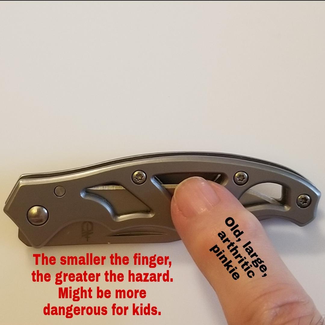 Gerber Gear Paraframe Mini Pocket Knife, 2.2