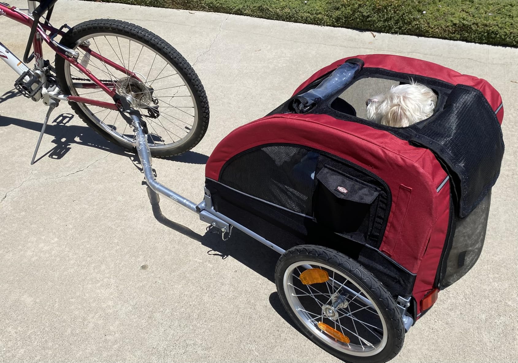 TRIXIE Large Dog Bike Trailer - Foldable Pet Bicycle Trailer for Dogs up to 66lbs - Features Quick Fastening Wheels, 2 Doors, Safety Leash & Waterproof Carrier - Black/Red customer photo 1