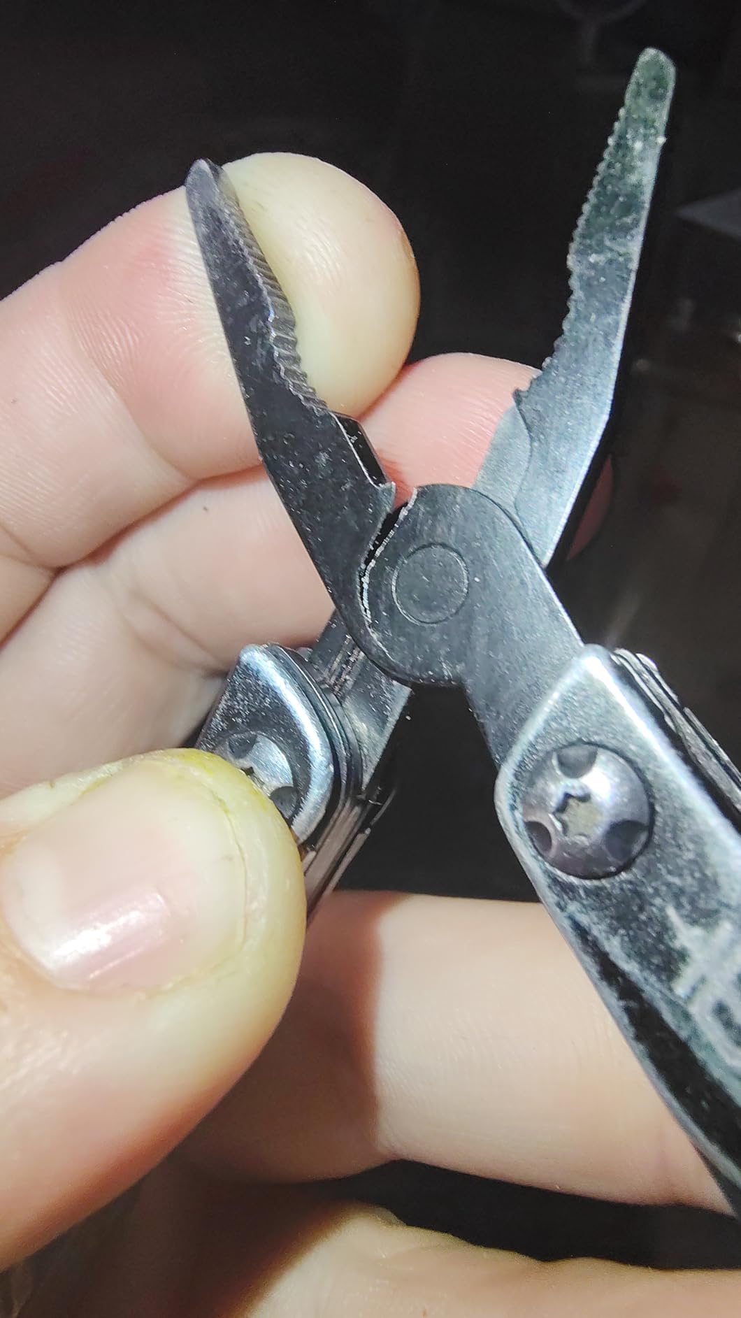 Gerber Gear Dime 12-in-1 Mini EDC Multitool - Needle Nose Pliers, Pocket Knife, Keychain, Bottle Opener - EDC Gear and Equipment - Green customer photo 2