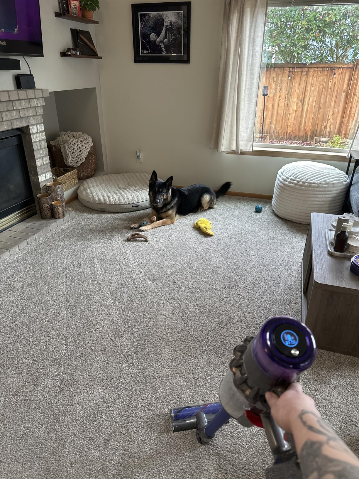 Dyson V11 Origin Cordless Vacuum, 185AW, 3 Power Modes, Up to 60 Minutes, Detangles Pet Hair, Converts to Handheld customer photo 2