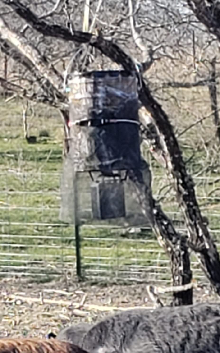 WILDGAME INNOVATIONS Quick-Set 50 lb Bucket Feeder with PCell Timer Hanging Wildlife Feeder for Corn & Pellet Feed with 1-2 Available Feed Times & 30 ft Radius customer photo 2