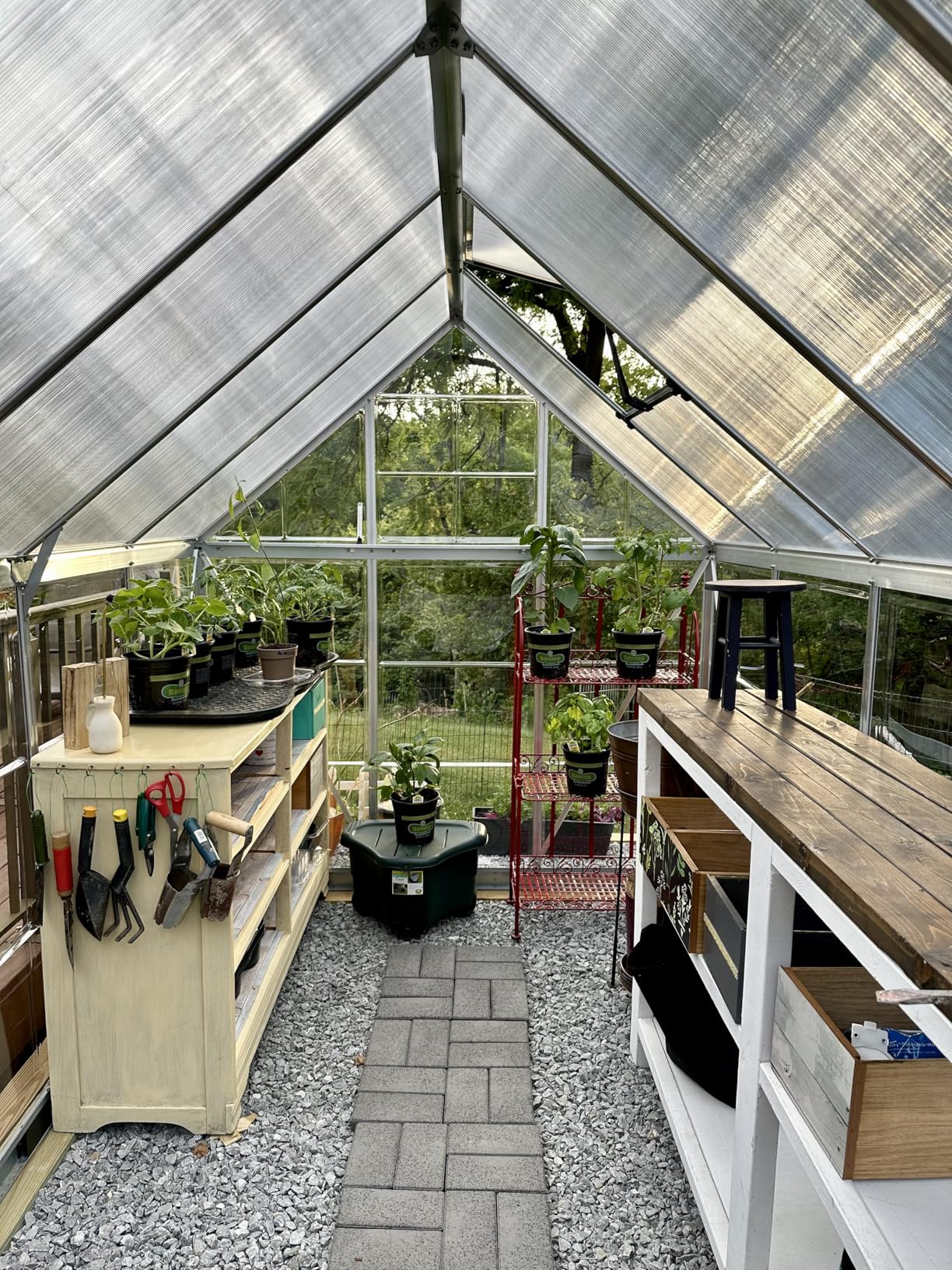 Palram - Canopia 6x14 Greenhouse for Outdoors, Walk-In UV Polycarbonate Panels Heavy Duty Aluminum Frame, Lockable Door, Adjustable Roof Vent, Rain Gutters, Galvanized Steel Base, Hybrid (Silver) customer photo 1