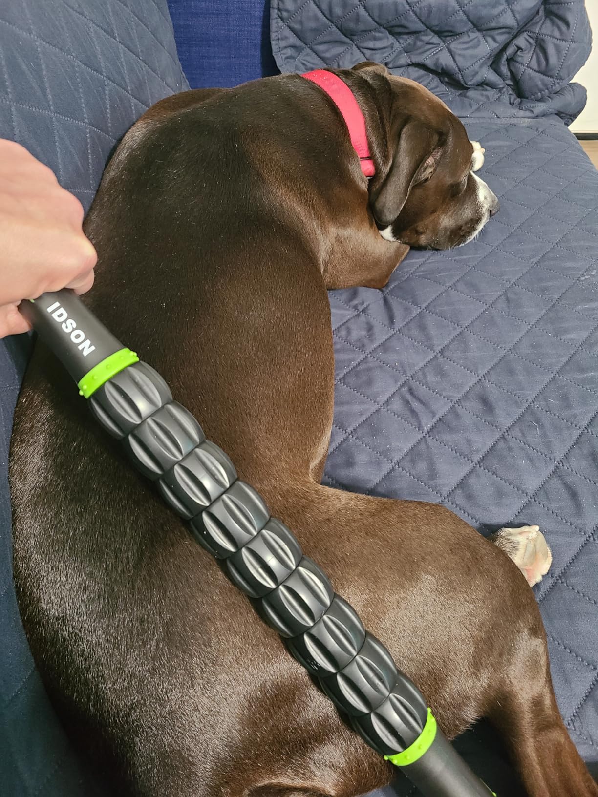 Idson Muscle Roller Stick for Athletes - Body Massage Sticks Tools Massager for Relief Muscle Soreness, Cramping and Tightness, Help Legs and Back Recovery, Black Green customer photo 2