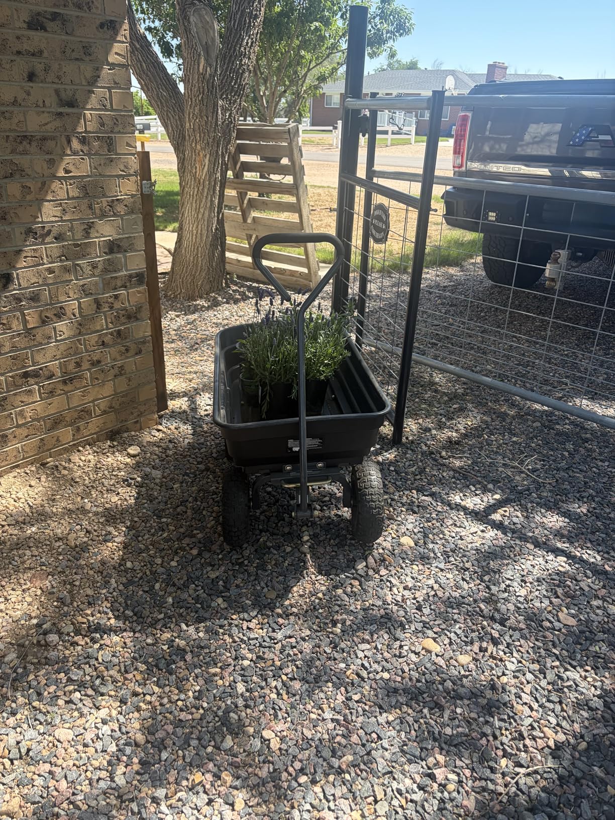 Gorilla Carts Poly Garden Dump Cart, 4 Cu Ft Tub, 600 lb Haul Capacity, Black customer photo 2